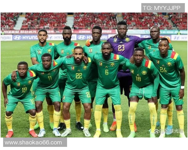 喀麦隆足球明星球员排名及其在国际赛场上的影响力分析